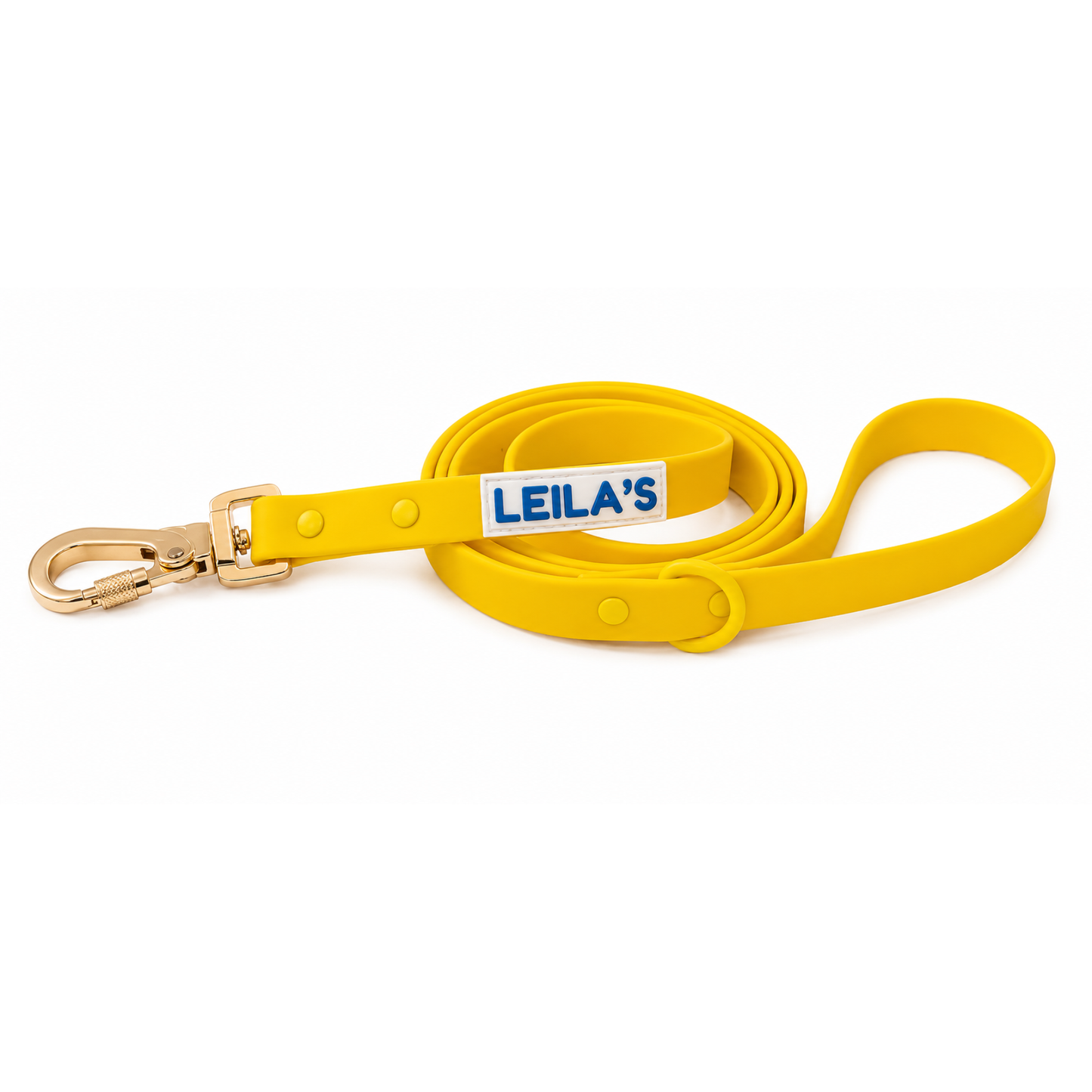 ADVENTURER LEASH