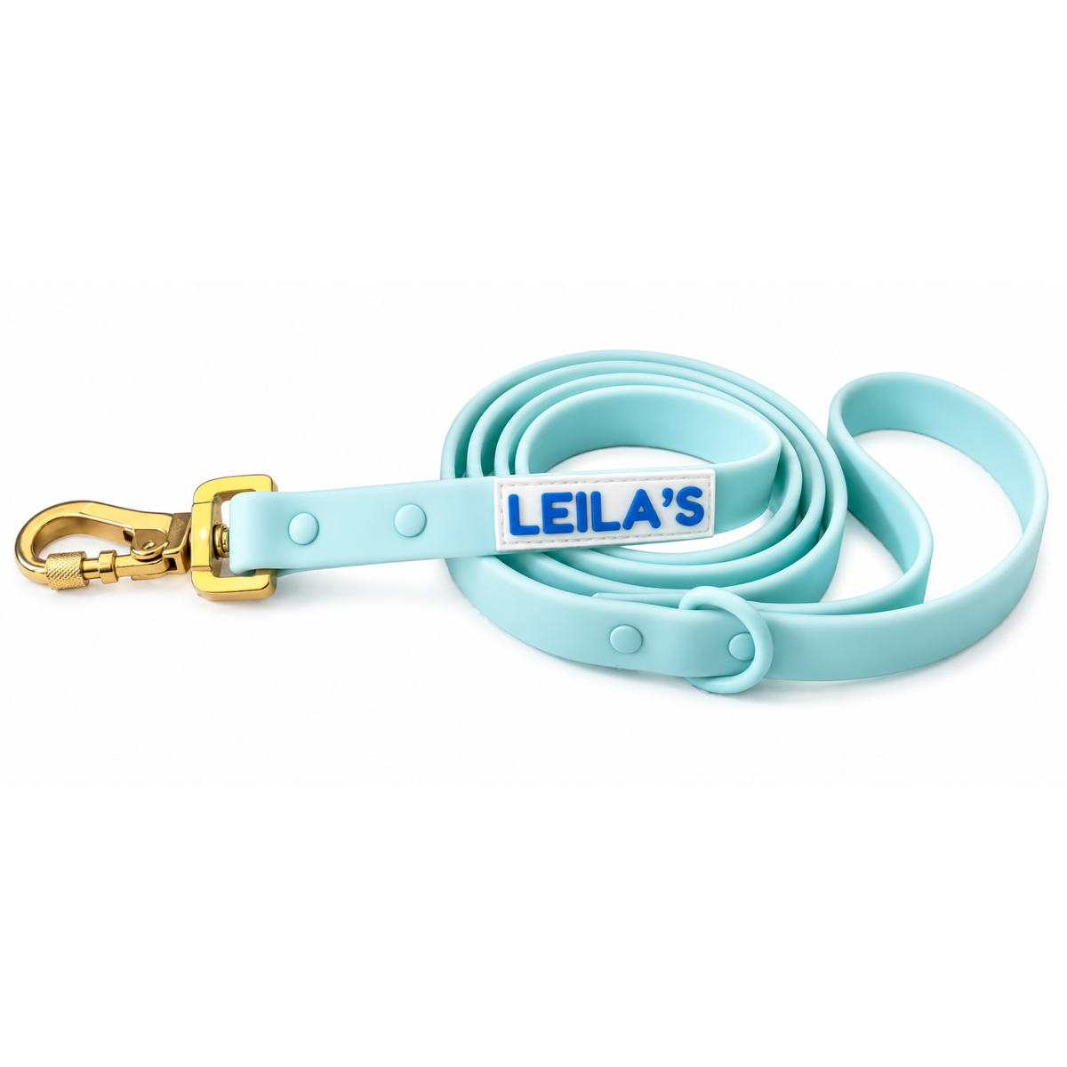 ADVENTURER LEASH