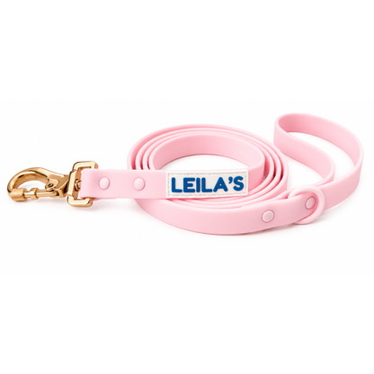 ADVENTURER LEASH