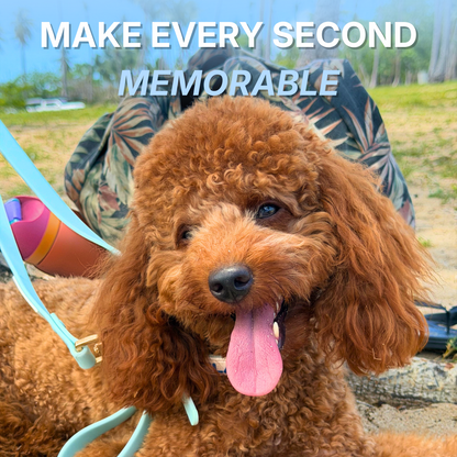 ADVENTURER LEASH