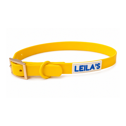 ADVENTURER COLLAR