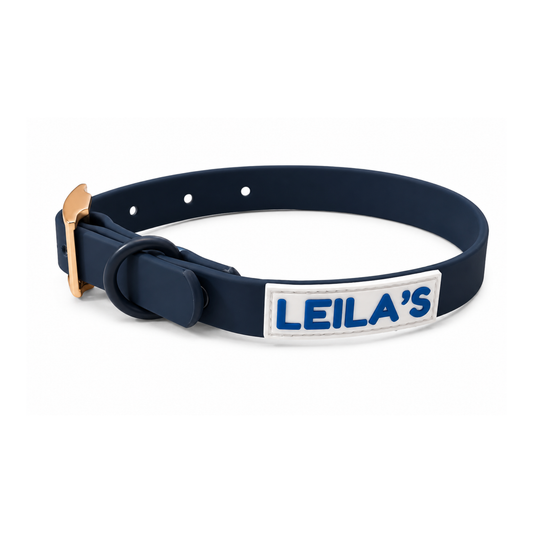 ADVENTURER COLLAR
