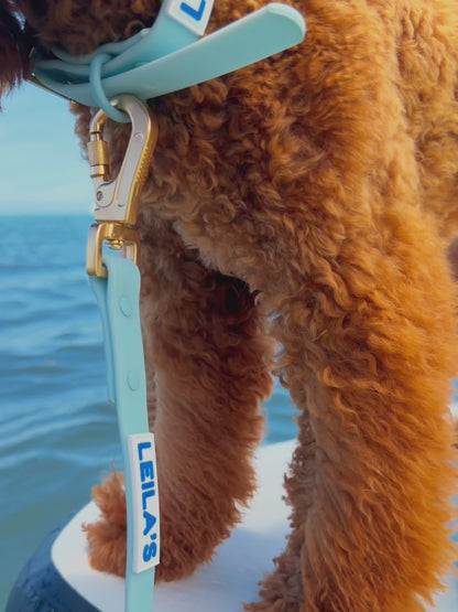 ADVENTURER LEASH